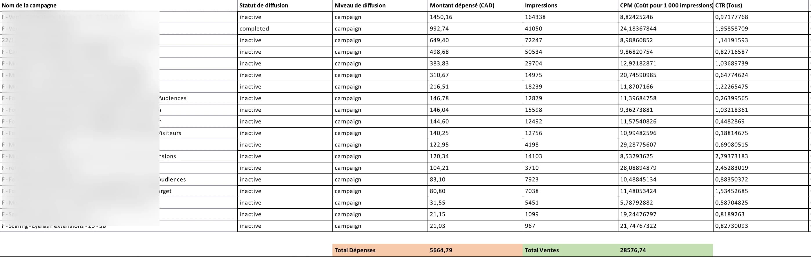 Extrait des campagnes reprises en interne : 5 665 $ dépensés pour 28 577 $ de ventes attribuées. Noms masqués.